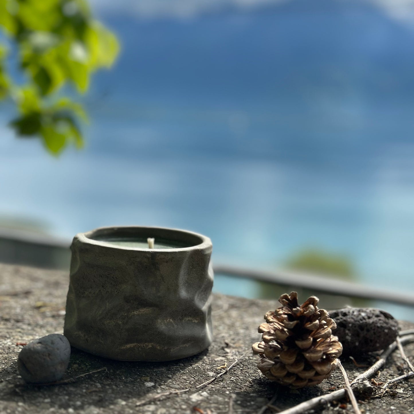 Calme de forêt – Pin & eucalyptus (édition béton)
Forest calm – Pine & Eucalyptus (concrete edition)